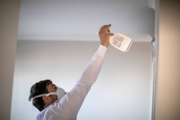 Fair Haven, NJ Mold Removal Company