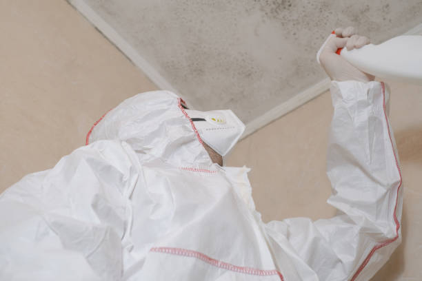 Best Fast Mold Removal  in Fair Haven, NJ